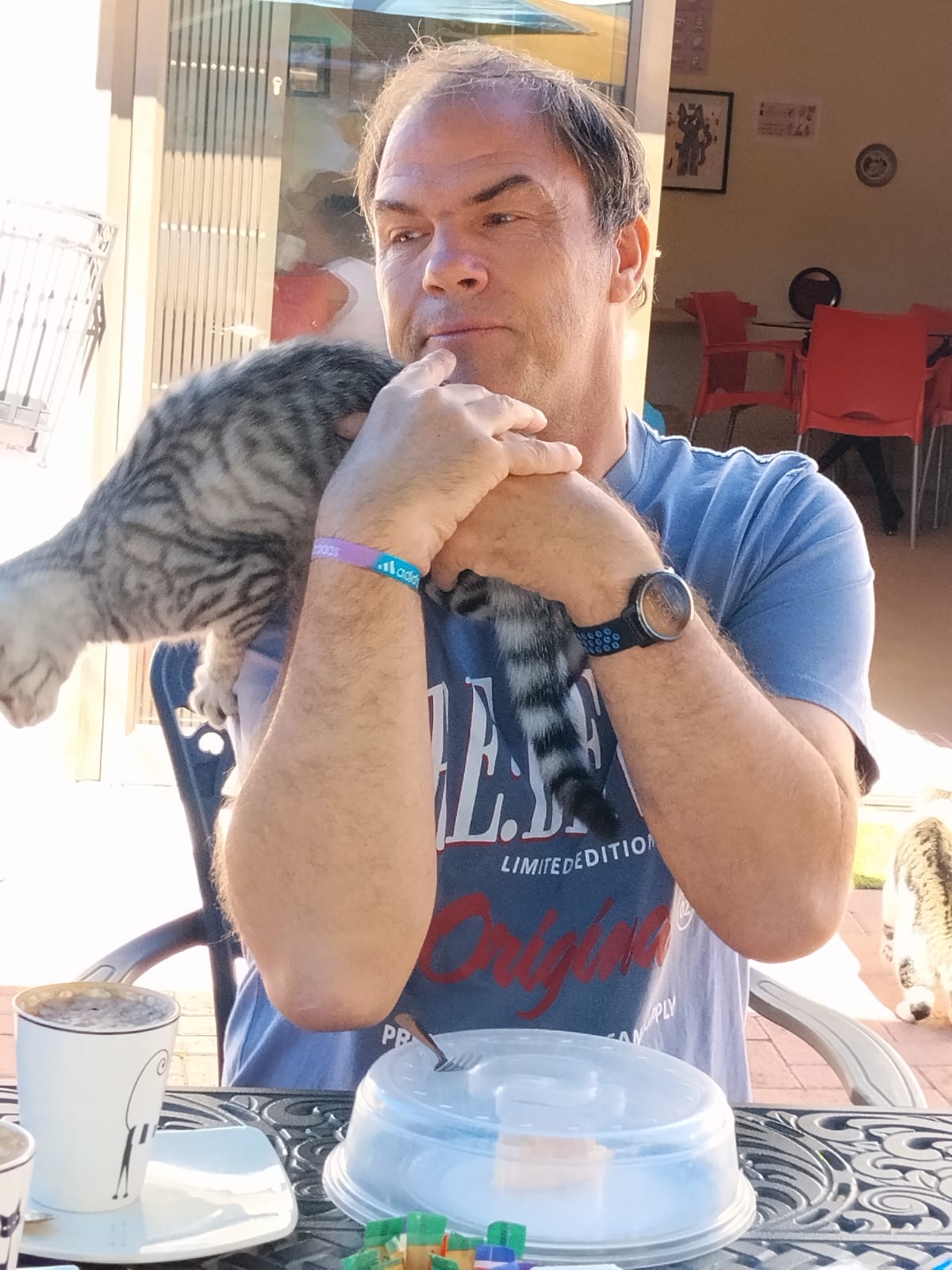 Cat Café Birthday Celebrations